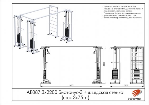 AR087.3х2200 Биотонус-3+шведская стенка (стек 3х75кг) фото №2