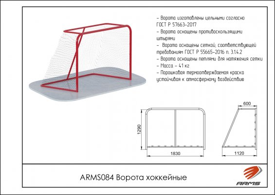 ARMS084 Ворота хоккейные фото №2