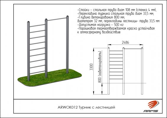 ARWOK012 Турник с лестницей фото №2