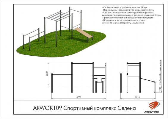 ARWOK109 Спортивный комплекс Селена фото №2