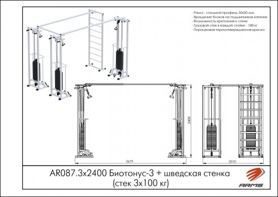 AR087.3х2400 Биотонус-3+шведская стенка (стек 3х100кг) фото №2