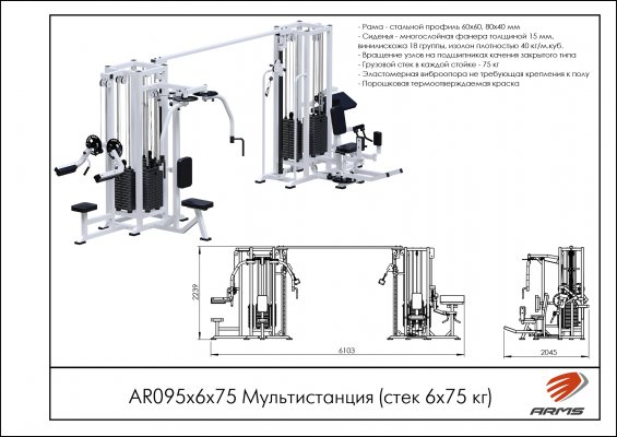 AR095х6х75 Мультистанция (стек 6х75 кг) фото №2