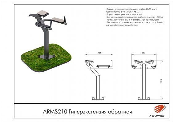 ARMS210 Гиперэкстензия обратная фото №2
